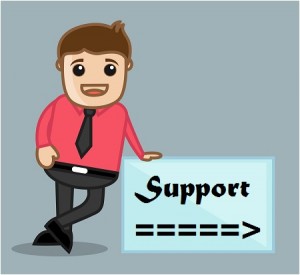 Support box with guy