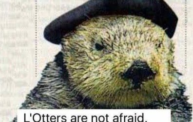 L’Otters Are Not Afraid!